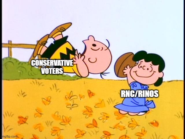 Any questions? | CONSERVATIVE
VOTERS; RNC/RINOS | made w/ Imgflip meme maker