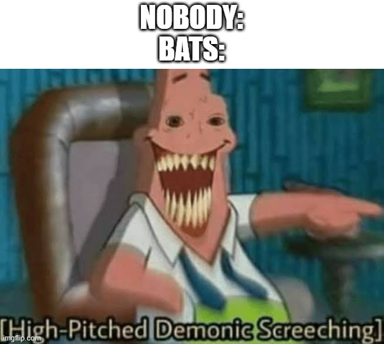 High-Pitched Demonic Screeching | NOBODY:
BATS: | image tagged in high-pitched demonic screeching | made w/ Imgflip meme maker