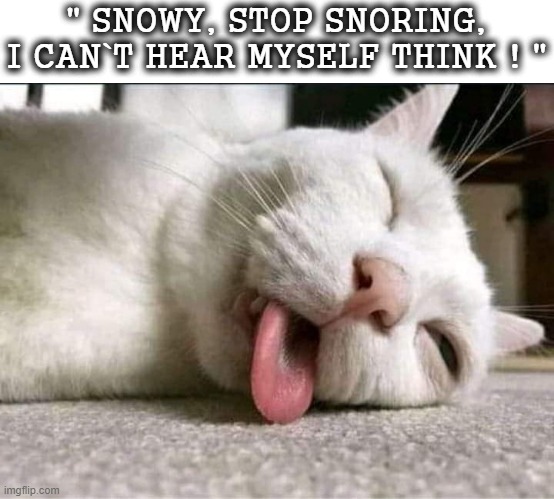 "Snowy !" |  " SNOWY, STOP SNORING,
I CAN`T HEAR MYSELF THINK ! " | image tagged in snoring | made w/ Imgflip meme maker