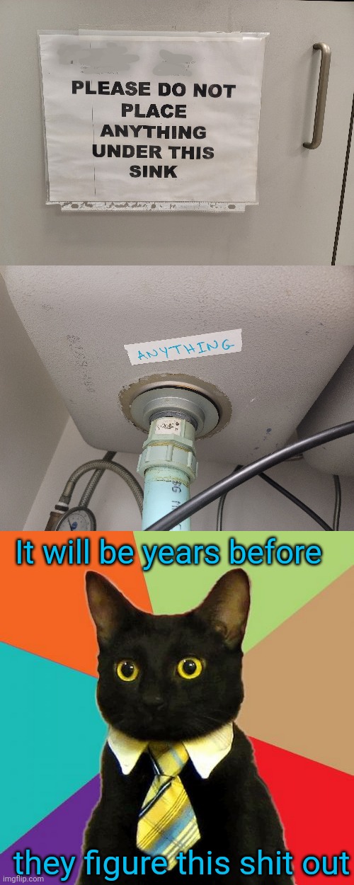 Pretty sneaky... |  It will be years before; they figure this shit out | image tagged in memes,business cat | made w/ Imgflip meme maker