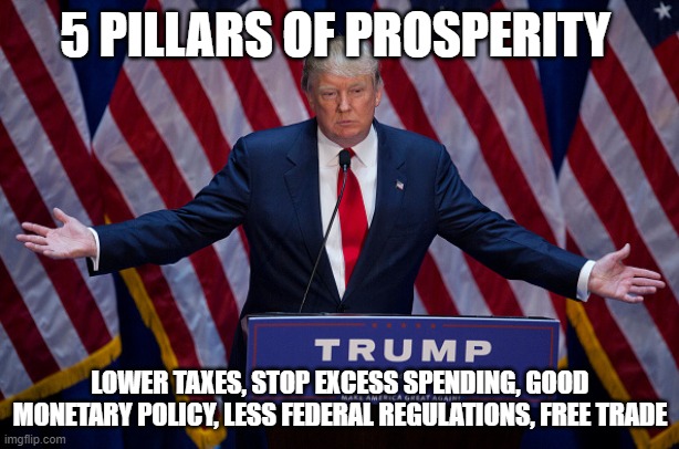 Donald Trump | 5 PILLARS OF PROSPERITY; LOWER TAXES, STOP EXCESS SPENDING, GOOD MONETARY POLICY, LESS FEDERAL REGULATIONS, FREE TRADE | image tagged in donald trump | made w/ Imgflip meme maker
