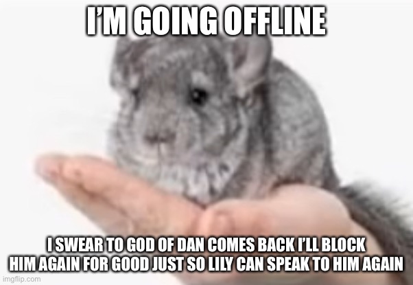 Chincilla | I’M GOING OFFLINE; I SWEAR TO GOD OF DAN COMES BACK I’LL BLOCK HIM AGAIN FOR GOOD JUST SO LILY CAN SPEAK TO HIM AGAIN | image tagged in chincilla | made w/ Imgflip meme maker