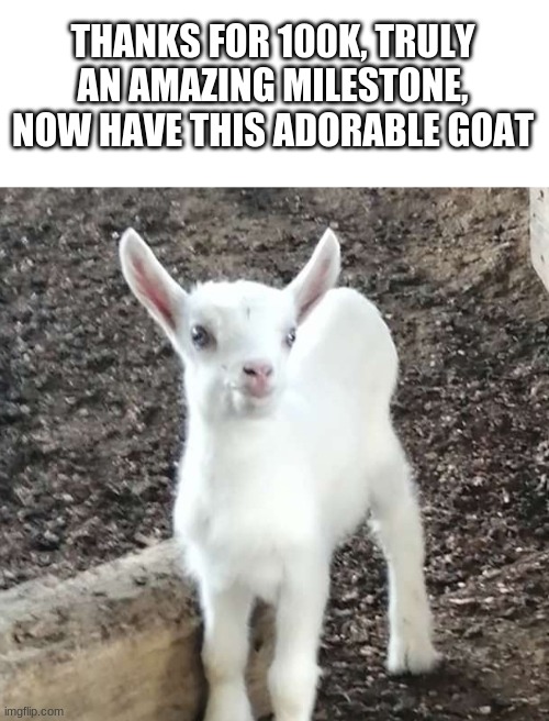 i never thought i would see the day | THANKS FOR 100K, TRULY AN AMAZING MILESTONE, NOW HAVE THIS ADORABLE GOAT | image tagged in yes goat | made w/ Imgflip meme maker