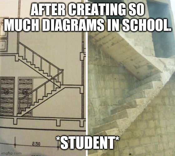 Students after passing out from school ! | AFTER CREATING SO MUCH DIAGRAMS IN SCHOOL. *STUDENT* | image tagged in student,engineer,engineering,student life,college,college life | made w/ Imgflip meme maker