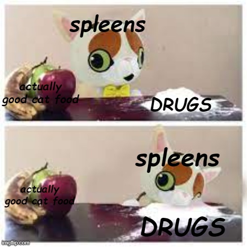new temp | spleens; actually good cat food; DRUGS; spleens; actually good cat food; DRUGS | image tagged in graystillplays spleens fruit or cocaine cocaine it is | made w/ Imgflip meme maker