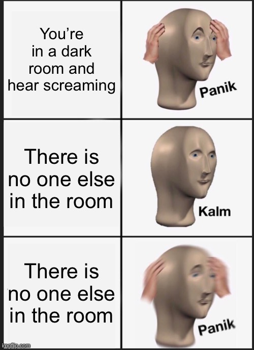 Panik Kalm Panik | You’re in a dark room and hear screaming; There is no one else in the room; There is no one else in the room | image tagged in memes,panik kalm panik | made w/ Imgflip meme maker