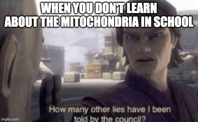 How many other lies have i been told by the council | WHEN YOU DON'T LEARN ABOUT THE MITOCHONDRIA IN SCHOOL | image tagged in how many other lies have i been told by the council | made w/ Imgflip meme maker