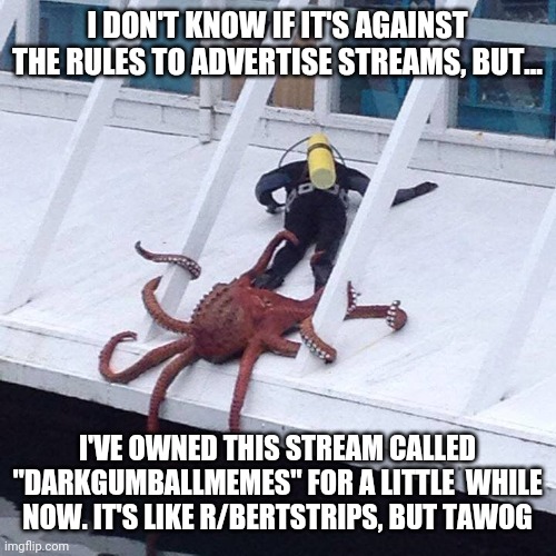 My stream has to get popular somehow.. | I DON'T KNOW IF IT'S AGAINST THE RULES TO ADVERTISE STREAMS, BUT... I'VE OWNED THIS STREAM CALLED "DARKGUMBALLMEMES" FOR A LITTLE  WHILE NOW. IT'S LIKE R/BERTSTRIPS, BUT TAWOG | image tagged in octopus | made w/ Imgflip meme maker