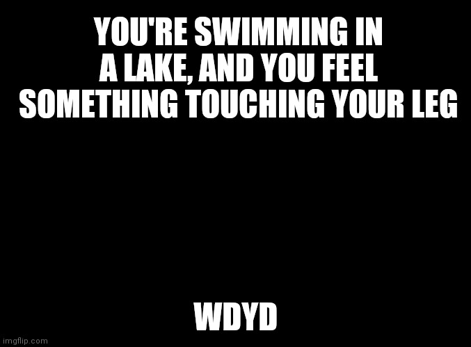 It's probably just a fish... | YOU'RE SWIMMING IN A LAKE, AND YOU FEEL SOMETHING TOUCHING YOUR LEG; WDYD | image tagged in blank black | made w/ Imgflip meme maker