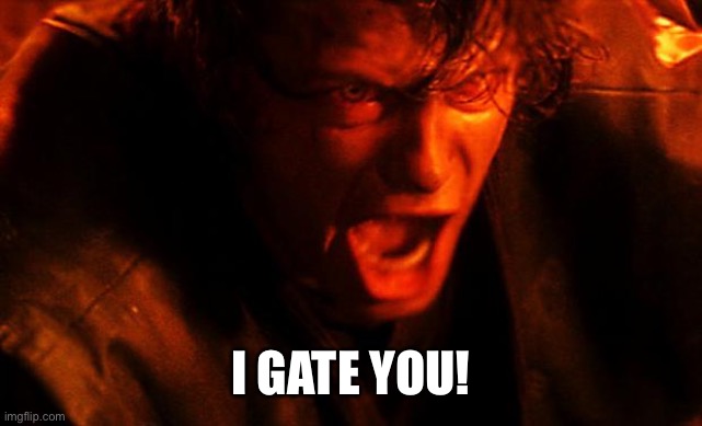 anakin-I-hate-you | I GATE YOU! | image tagged in anakin-i-hate-you | made w/ Imgflip meme maker