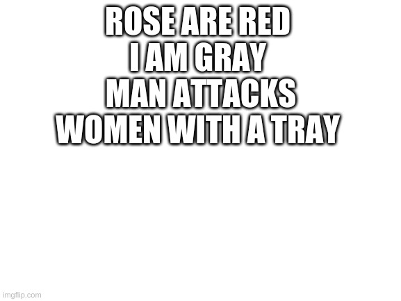 Blank White Template | ROSE ARE RED 
I AM GRAY 
MAN ATTACKS WOMEN WITH A TRAY | image tagged in blank white template,fyp,meme,rose are red | made w/ Imgflip meme maker