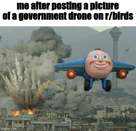 Plane flying from explosions | me after posting a picture of a government drone on r/birds | image tagged in plane flying from explosions | made w/ Imgflip meme maker