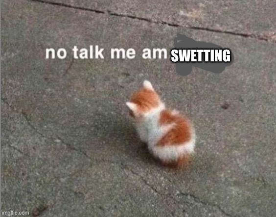 no talk me am angy | SWETTING | image tagged in no talk me am angy | made w/ Imgflip meme maker