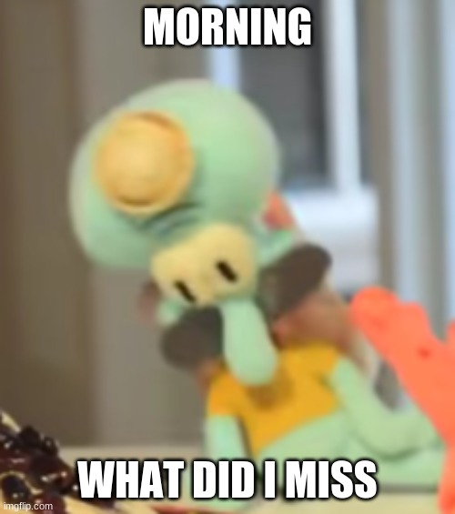 yo soy squidward | MORNING; WHAT DID I MISS | image tagged in yo soy squidward | made w/ Imgflip meme maker