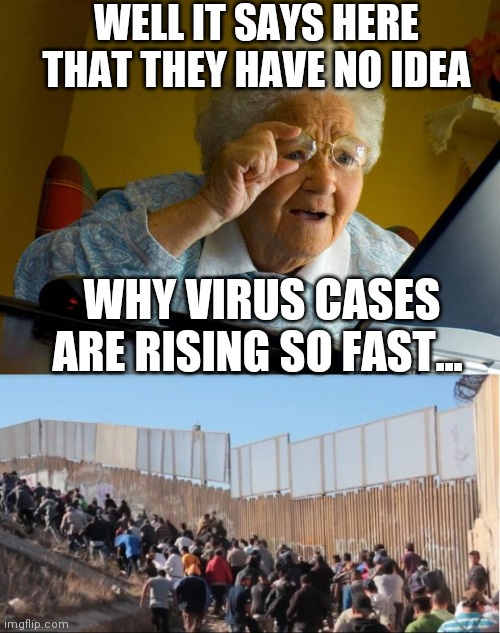 WELL IT SAYS HERE THAT THEY HAVE NO IDEA; WHY VIRUS CASES ARE RISING SO FAST... | image tagged in old lady at computer finds the internet,illegal immigrants | made w/ Imgflip meme maker