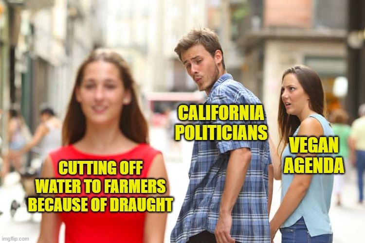 California Legislature decided to cut water to farmers so it can be used for more important things. Eating isn't important? |  CALIFORNIA
POLITICIANS; VEGAN
AGENDA; CUTTING OFF WATER TO FARMERS BECAUSE OF DRAUGHT | image tagged in memes,distracted boyfriend,vegan,draught,california,priorities | made w/ Imgflip meme maker