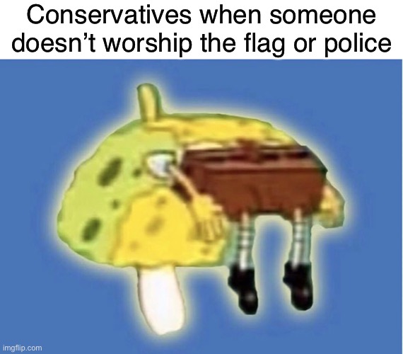 Total snowflakes. | Conservatives when someone doesn’t worship the flag or police | image tagged in patriotism,military,colin kaepernick,american flag,police lives matter,conservatives | made w/ Imgflip meme maker