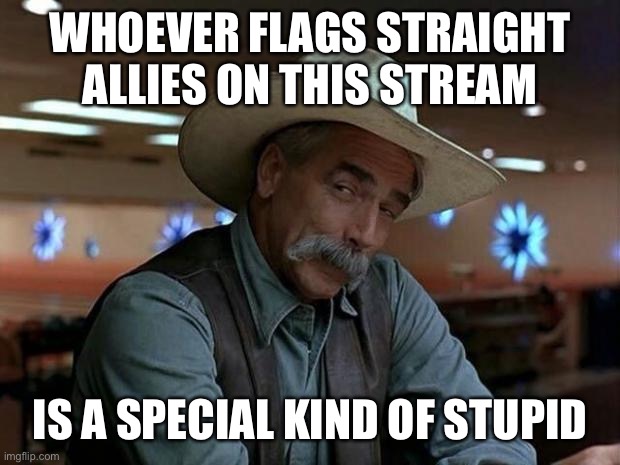 special kind of stupid | WHOEVER FLAGS STRAIGHT ALLIES ON THIS STREAM IS A SPECIAL KIND OF STUPID | image tagged in special kind of stupid | made w/ Imgflip meme maker