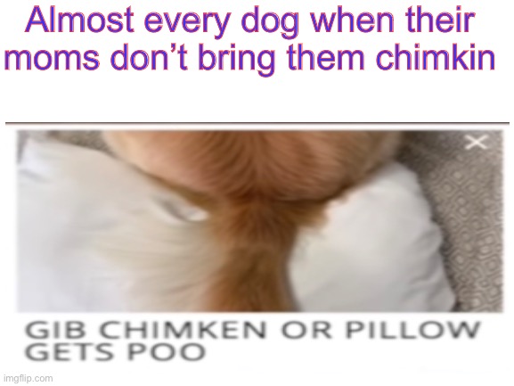 almost every dog when their moms dont bring them chimken | Almost every dog when their moms don’t bring them chimkin | image tagged in chimken | made w/ Imgflip meme maker