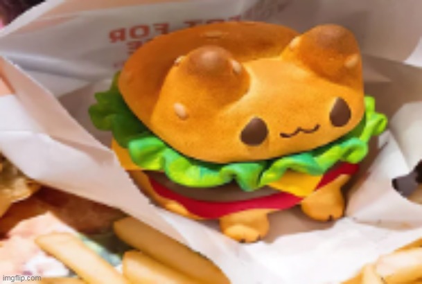 borgir | made w/ Imgflip meme maker