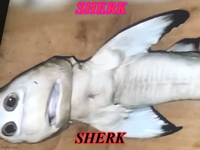 SHERK | SHERK; SHERK | image tagged in sherk | made w/ Imgflip meme maker