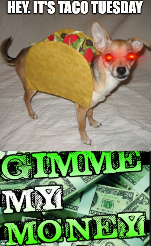 hey its taco tuesday *taco rampages into house* taco: GIMME MY MONEY | HEY. IT'S TACO TUESDAY | image tagged in taco tuesday | made w/ Imgflip meme maker