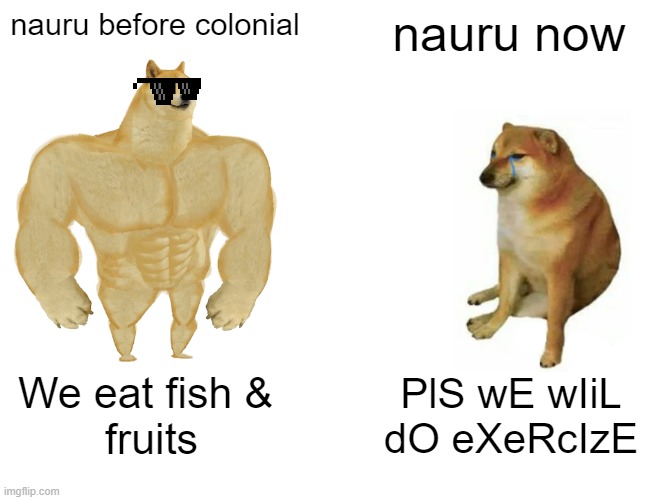 Buff Doge vs. Cheems Meme | nauru before colonial; nauru now; We eat fish & 
fruits; PlS wE wIiL
dO eXeRcIzE | image tagged in memes,buff doge vs cheems | made w/ Imgflip meme maker