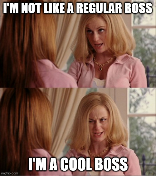 I'm a cool boss | I'M NOT LIKE A REGULAR BOSS; I'M A COOL BOSS | image tagged in mean girls cool mom | made w/ Imgflip meme maker