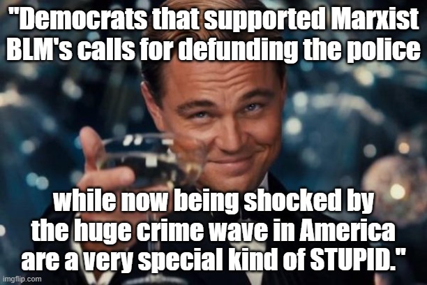 Political meme: "Democrats that supported BLM's calls for defunding police are now shocked by the crime wave in America. DUMB." |  "Democrats that supported Marxist BLM's calls for defunding the police; while now being shocked by the huge crime wave in America are a very special kind of STUPID." | image tagged in memes,leonardo dicaprio cheers,democrats,political memes,defunding the police is moronic,blm | made w/ Imgflip meme maker