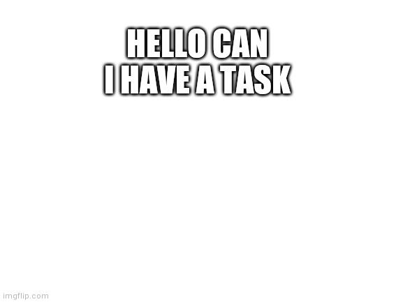 Blank White Template | HELLO CAN I HAVE A TASK | image tagged in blank white template | made w/ Imgflip meme maker