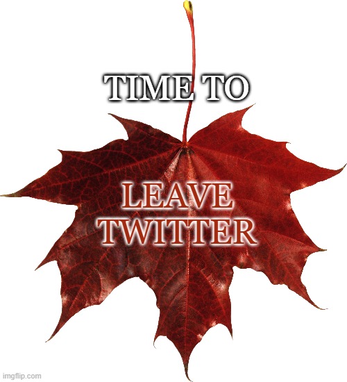 Leave | TIME TO; LEAVE
TWITTER | image tagged in twitter,bias,censorship | made w/ Imgflip meme maker