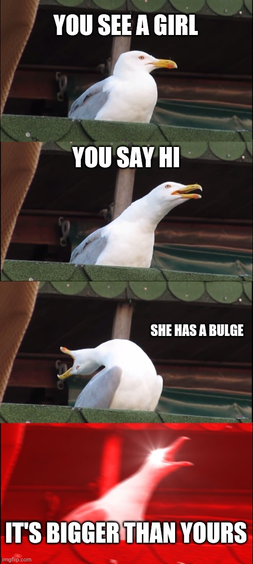 Oh no | YOU SEE A GIRL; YOU SAY HI; SHE HAS A BULGE; IT'S BIGGER THAN YOURS | image tagged in memes,inhaling seagull | made w/ Imgflip meme maker