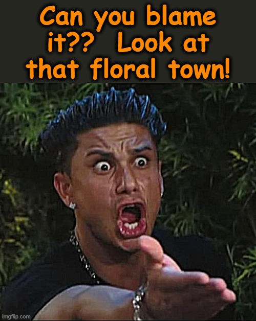 DJ Pauly D Meme | Can you blame it??  Look at that floral town! | image tagged in memes,dj pauly d | made w/ Imgflip meme maker