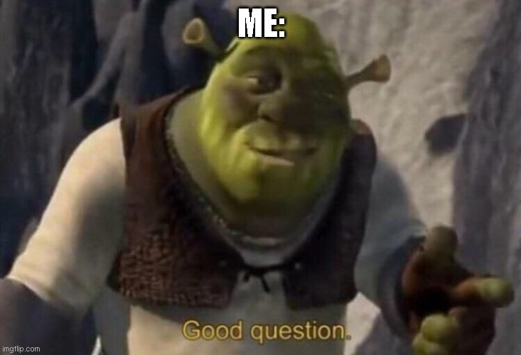 ME: | image tagged in shrek good question | made w/ Imgflip meme maker