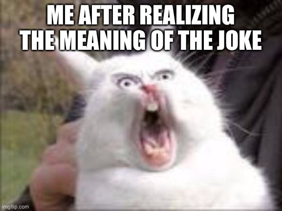 Hungry Rabbit | ME AFTER REALIZING THE MEANING OF THE JOKE | image tagged in hungry rabbit | made w/ Imgflip meme maker