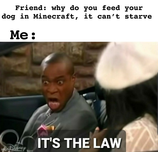 IT’S A CRIME NOT TO!! | Friend: why do you feed your dog in Minecraft, it can’t starve; Me: | image tagged in it's the law,memes,unfunny | made w/ Imgflip meme maker