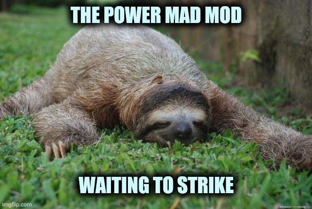 Better not call | THE POWER MAD MOD; WAITING TO STRIKE | image tagged in sleeping sloth,power corrupts,report,comment timer,imgflip trolls,are you really in charge here | made w/ Imgflip meme maker