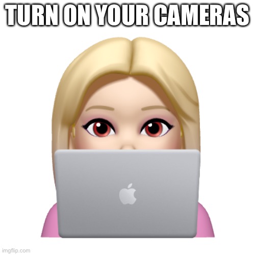 Peach is looking | TURN ON YOUR CAMERAS | image tagged in peach is looking | made w/ Imgflip meme maker