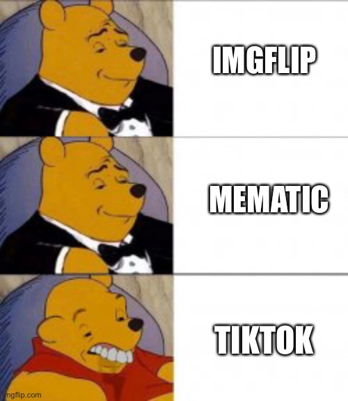 IMGFLIP; MEMATIC; TIKTOK | image tagged in tiktok sucks | made w/ Imgflip meme maker