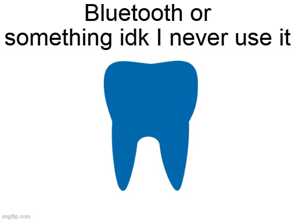 Blank White Template | Bluetooth or something idk I never use it | image tagged in blank white template | made w/ Imgflip meme maker