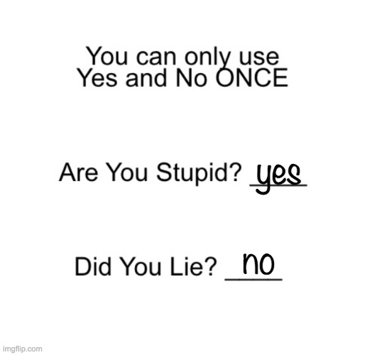 yes; no | image tagged in are you stupid | made w/ Imgflip meme maker