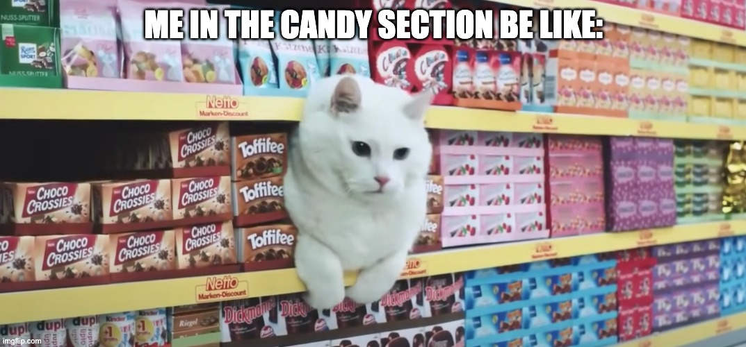 E i love memes | ME IN THE CANDY SECTION BE LIKE: | image tagged in cat | made w/ Imgflip meme maker