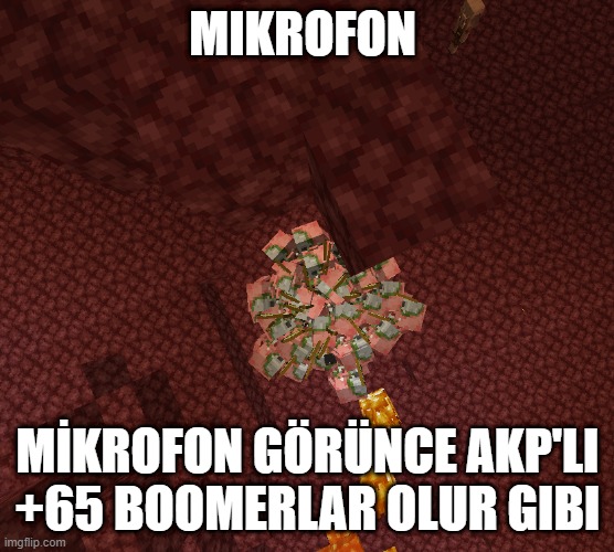 MIKROFON; MİKROFON GÖRÜNCE AKP'LI +65 BOOMERLAR OLUR GIBI | made w/ Imgflip meme maker