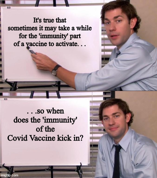 It's been six or seven month since the rollout. . .no vaccine should take this long to grant the immunity. | It's true that sometimes it may take a while for the 'immunity' part of a vaccine to activate. . . . . .so when does the 'immunity' of the Covid Vaccine kick in? | image tagged in jim halpert explains,covid,vaccine,fake news,dr fauci | made w/ Imgflip meme maker