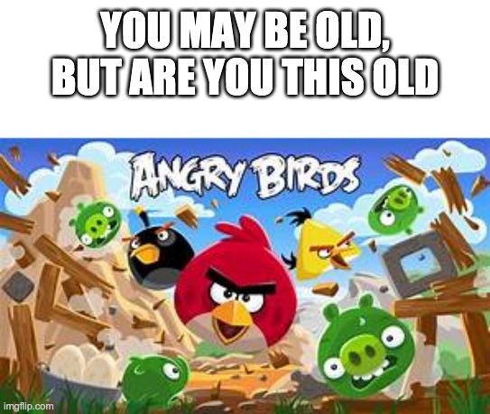 Angry Birds | YOU MAY BE OLD, BUT ARE YOU THIS OLD | image tagged in angry birds | made w/ Imgflip meme maker