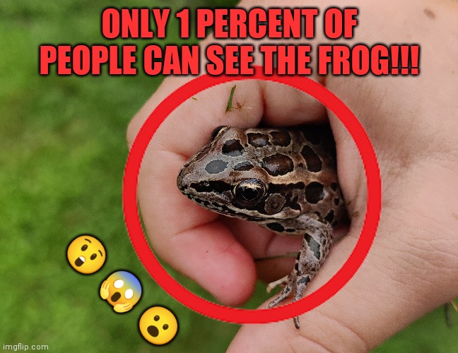 Mobile adds be like (this is my image) | ONLY 1 PERCENT OF PEOPLE CAN SEE THE FROG!!! 😲 😱 😮 | made w/ Imgflip meme maker