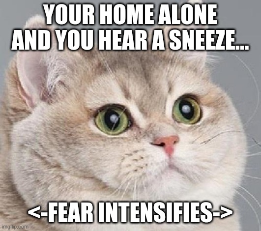 :) | YOUR HOME ALONE AND YOU HEAR A SNEEZE... <-FEAR INTENSIFIES-> | image tagged in breathing intensifies | made w/ Imgflip meme maker