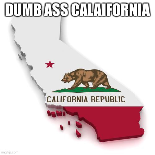 California | DUMB ASS CALIFORNIA | image tagged in california | made w/ Imgflip meme maker