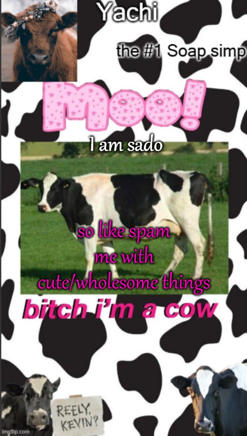 Yachis cow temp | I am sado; so like spam me with cute/wholesome things | image tagged in yachis cow temp | made w/ Imgflip meme maker