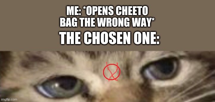 MERP | ME: *OPENS CHEETO BAG THE WRONG WAY*; THE CHOSEN ONE: | image tagged in the chosen | made w/ Imgflip meme maker